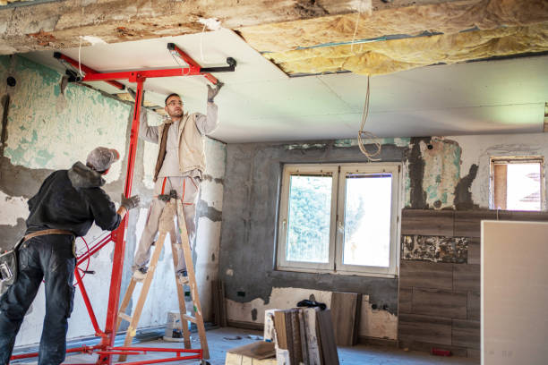 Best Types of Insulation in Potterville, MI